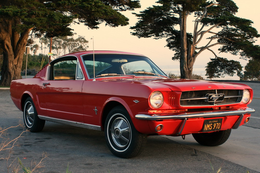 1965 1966 1967 1968 1969 1970 Mustang Fastback Boss Mach 1 One Mustang Fastback Vintage Mustang 1965 Mustang