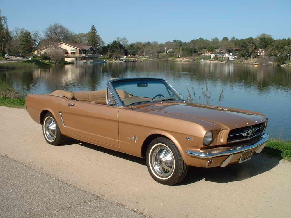 Image Picture Mustang 1965