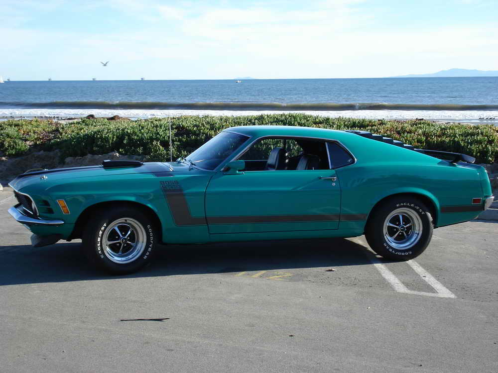 Boss 302 Mustang Picture