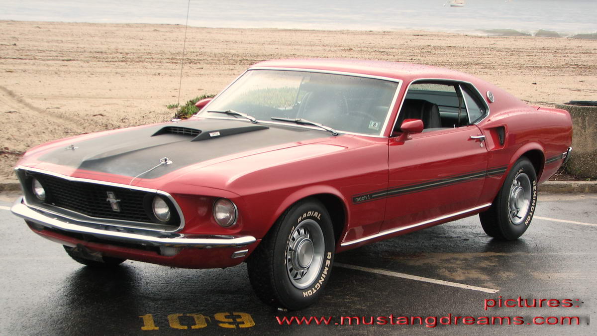 mustang mach 1 one ford